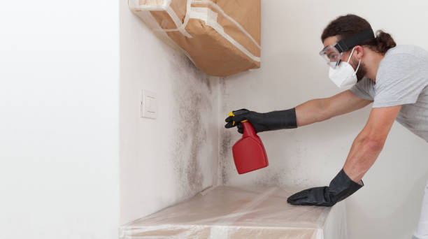 Professional Bathroom Mold Removal technician working in West Decatur, PA